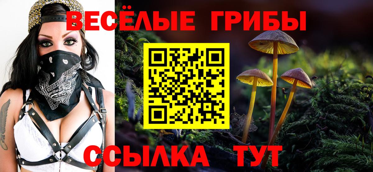 Псилоцибиновые грибы прущие грибы Нижний Новгород