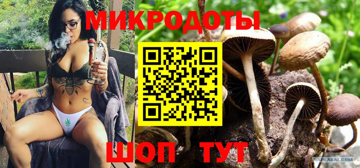 Нижний Новгород  где найти наркотики  Вход с VPN  Галлюциногенные грибы Psilocybe 