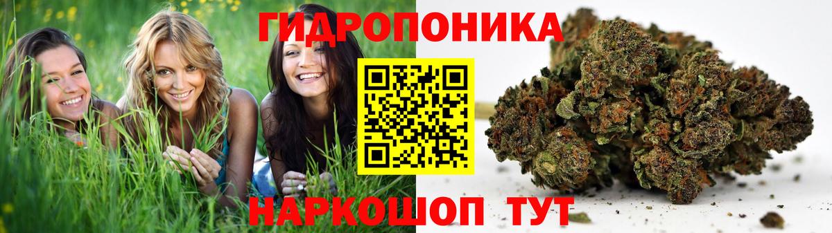Марихуана планчик Нижний Новгород